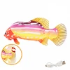 12. Poissons tropicaux