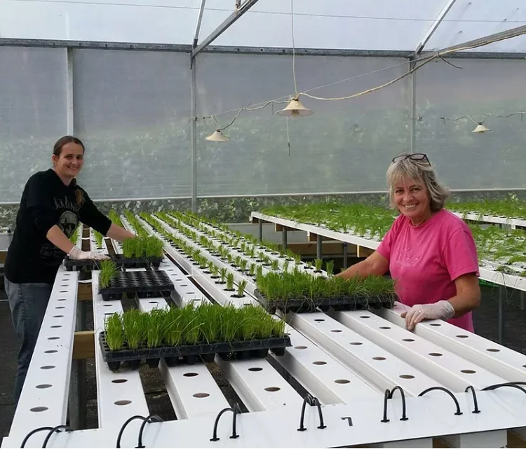 rusirly hydroponic system