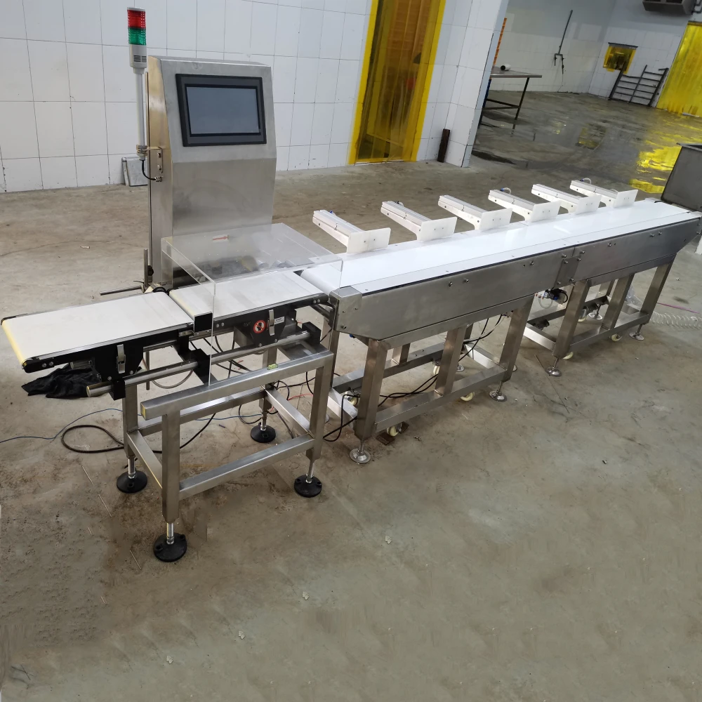 Online Auto Weight Sorting Machine Food Conveyor for Fish