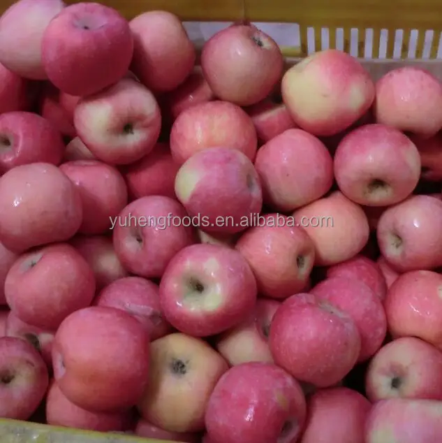 fuji apple 3.jpg