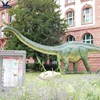 as picture