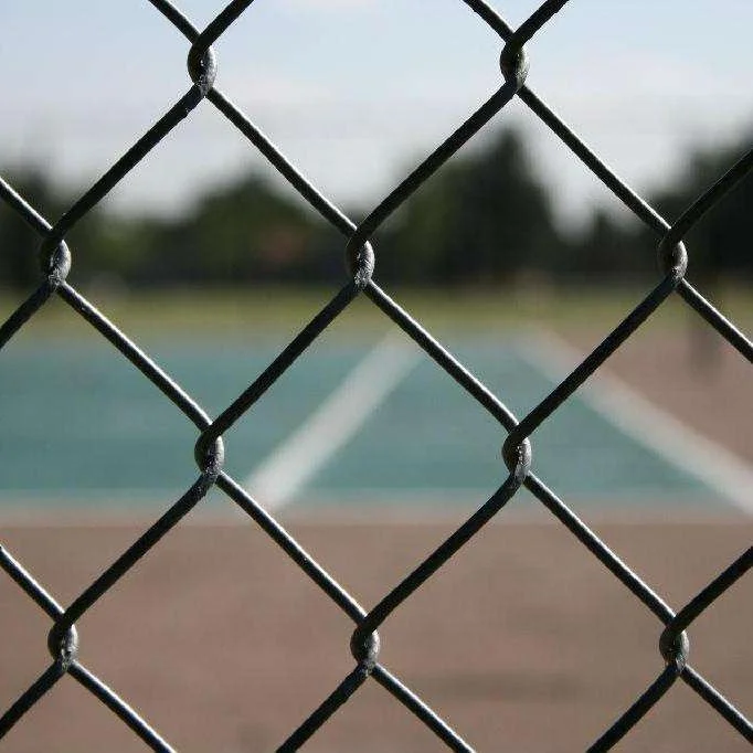 Chain Link Fence Cheap Price Iron Fence