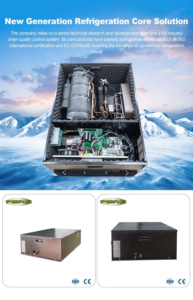 Condensing Unit, Inverter, 220V, R404a - detail 8