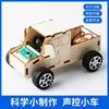 Voice-activated trolley