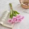 7 manojos de Platycodon grandiflorum color lila claro