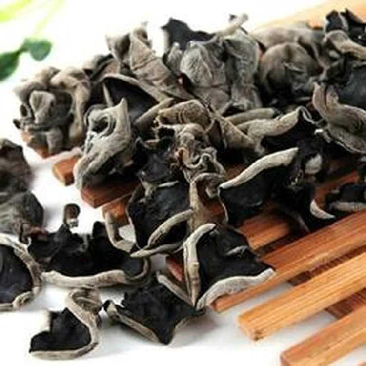 edible fungus