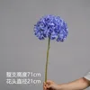 สีม่วงน้ำเงินขนาดกลาง