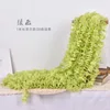 Raya de orquídea, raya verde