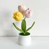 giallo tulipano