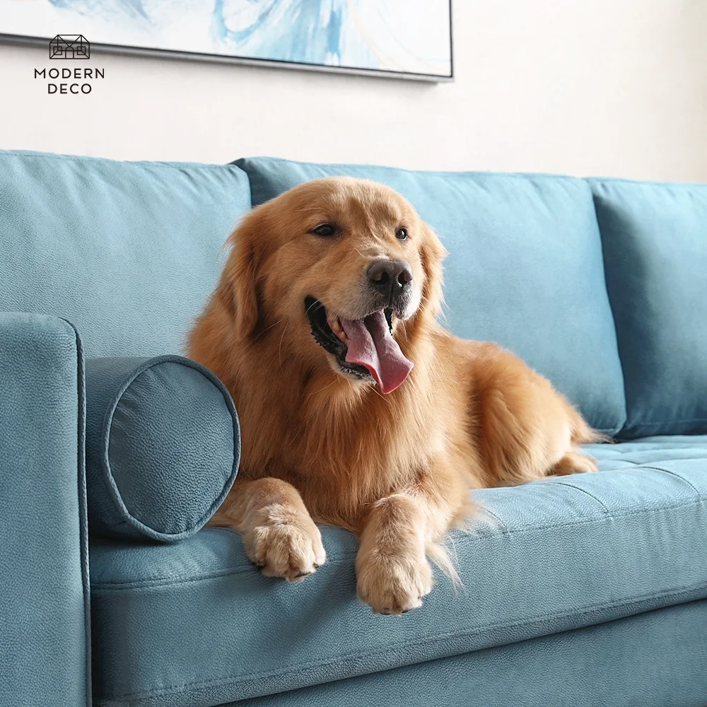 Sofa Tahan Gores Ramah Kucing Anjing Hewan Peliharaan 2023