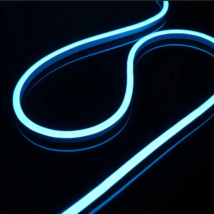 Neon Led Strip Light 5m 12v Dc 600 Smd2835 Leds Waterproof Flexible Led