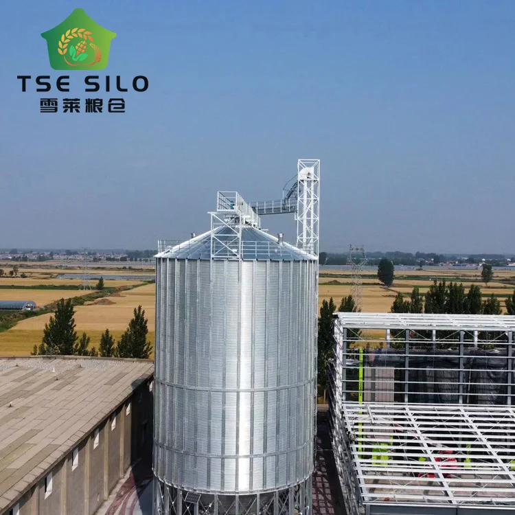 500tons Galvanized Sheet Feed Grain Storage Silo Grain Corn Flour for Poultry Chicken Farm