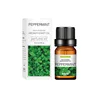 Menthe poivrée (huile d'aromathérapie à base d'eau)