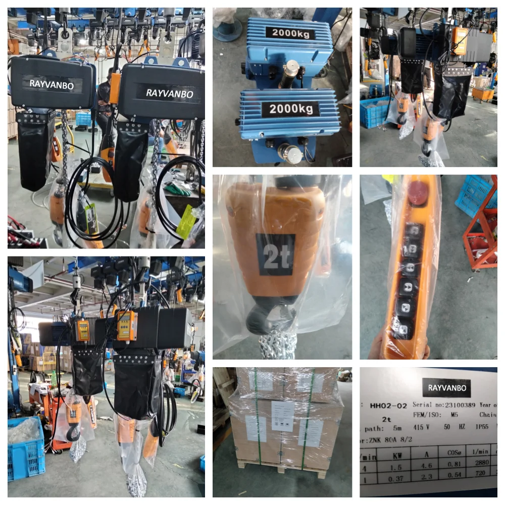 Compact Design European Style Electric Chain Hoist 500kgs with Vital Chain Block