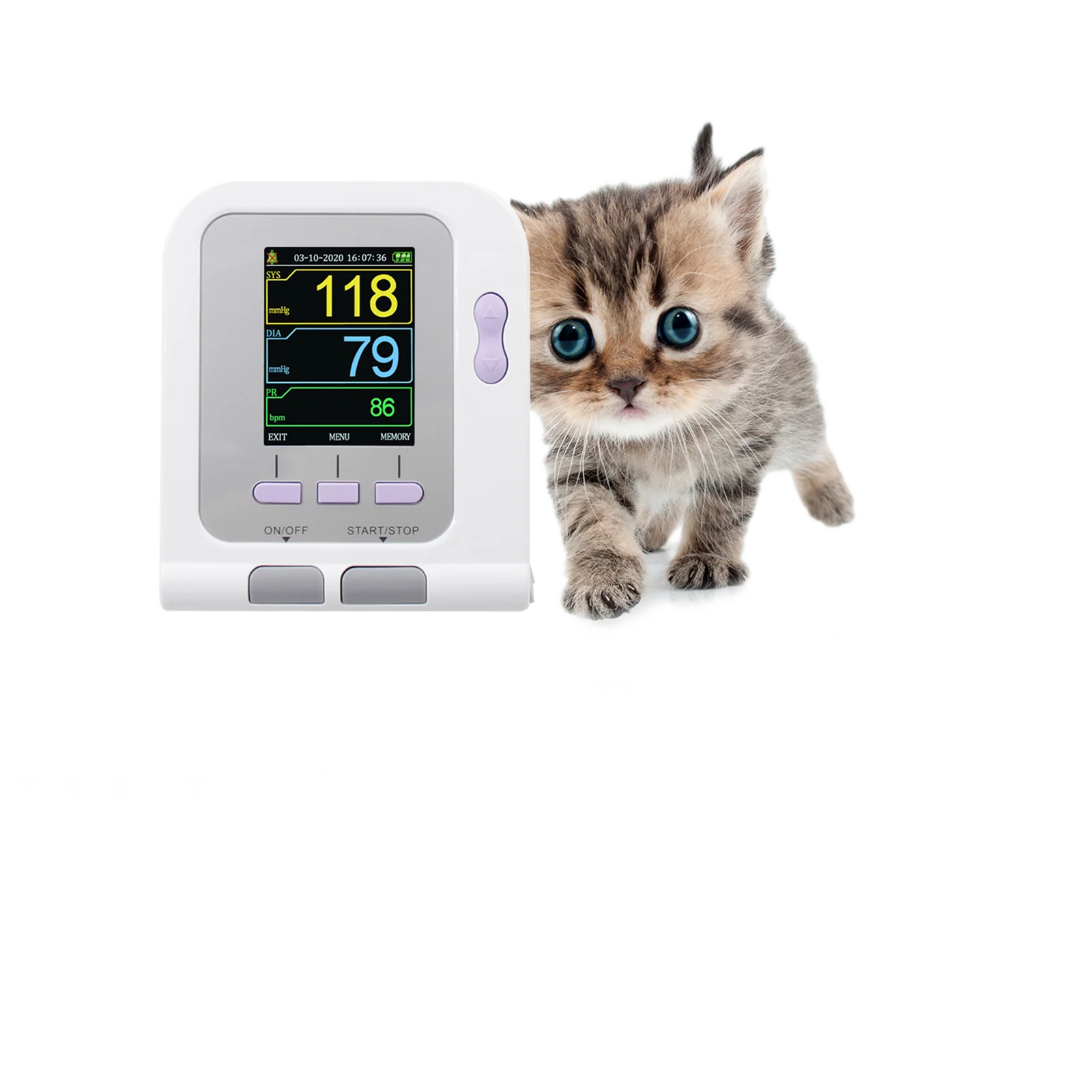 CONTEC Veterinary/Animal use Automatic Blood Pressure Monitor for