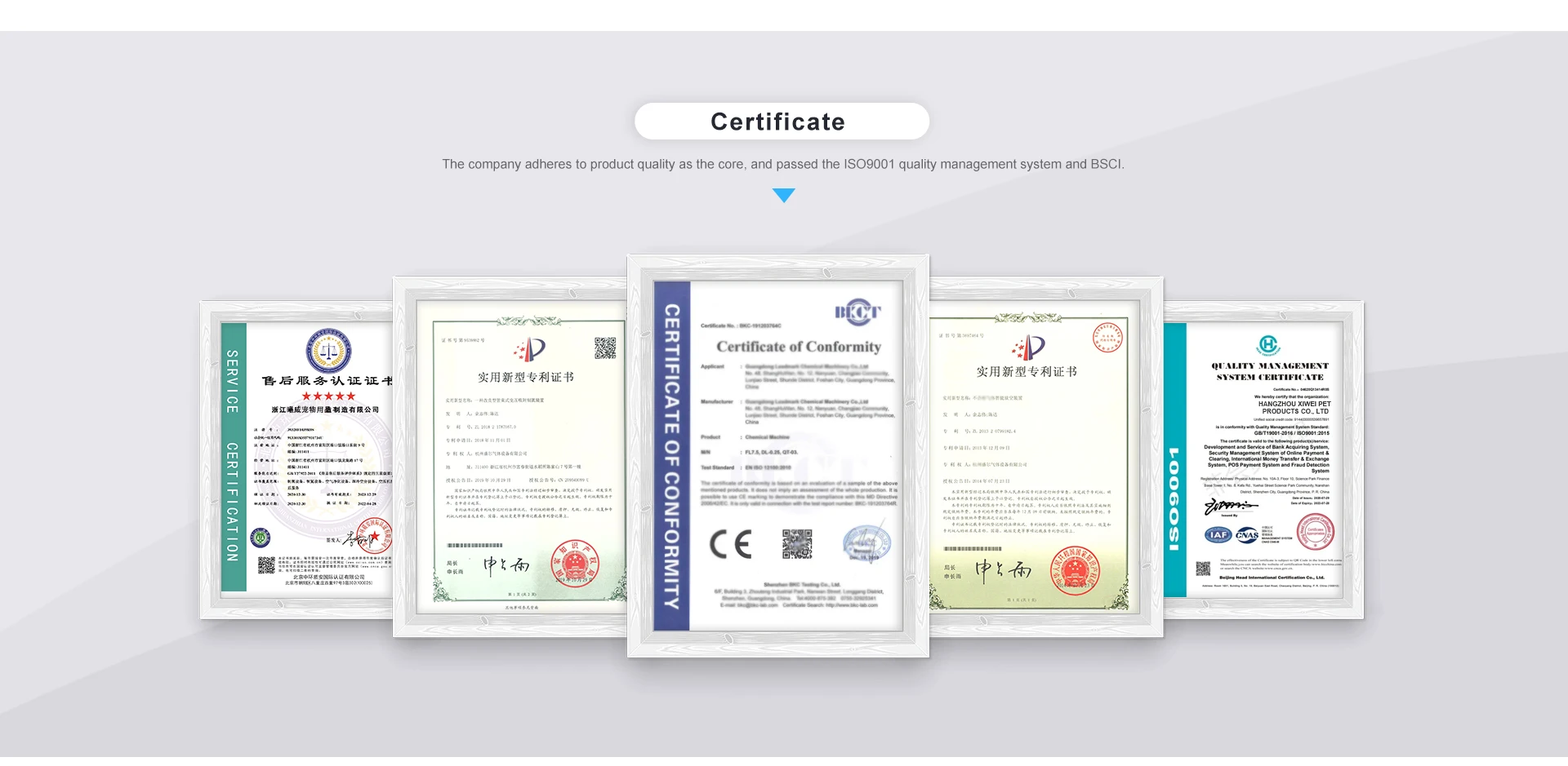 Company Overview Hangzhou Xiwei Pet Products Co., Ltd.