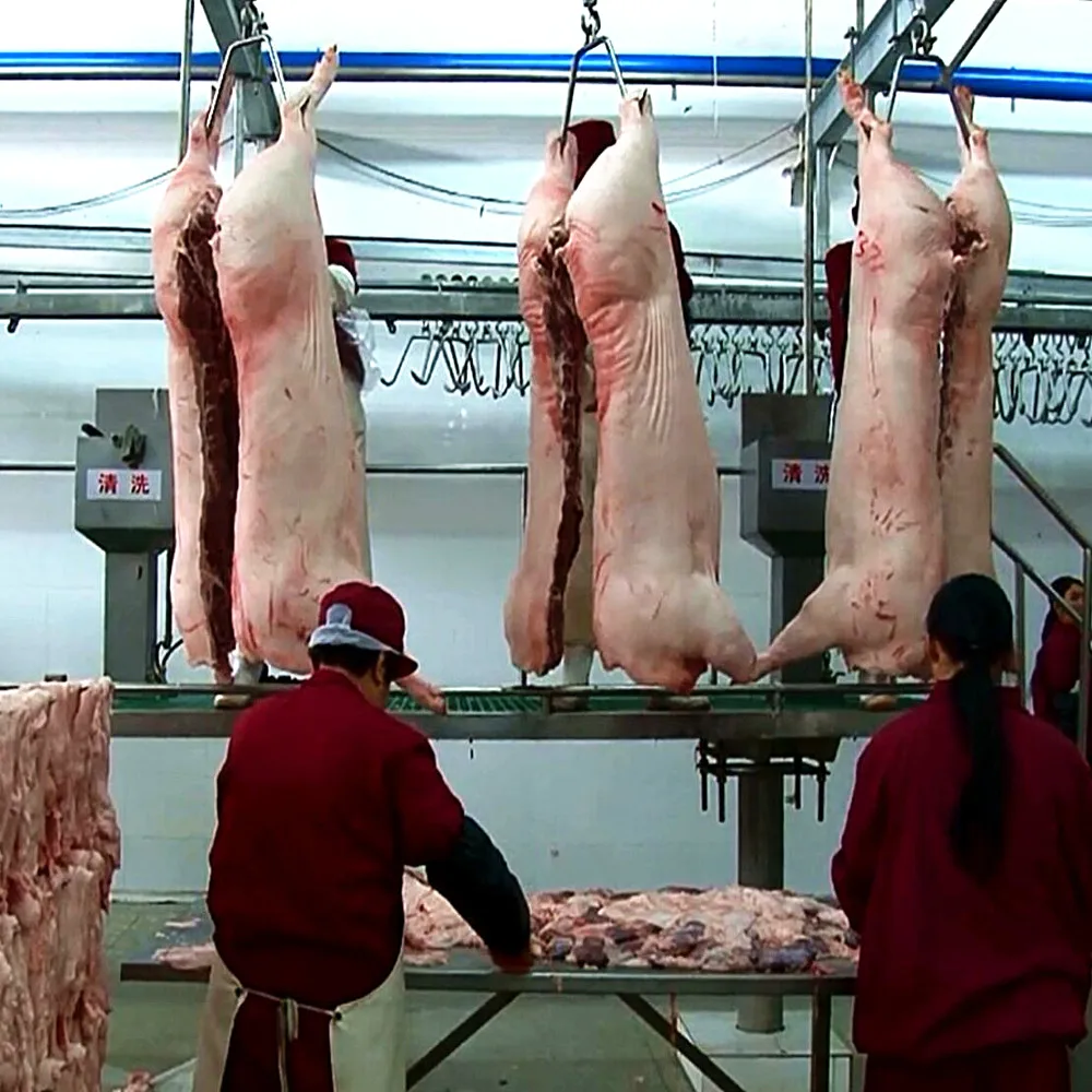 Pig slaughtering equipment butcher production line saves labor in pig slaughterhouses