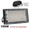 100W without plug