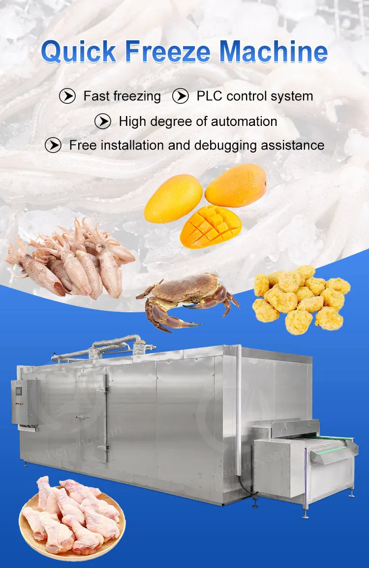 Freezing Equipment, OCEAN, 380V, 100kg - detail 4