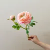 แชมเปญ