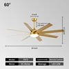 Oro + 60 pulgadas