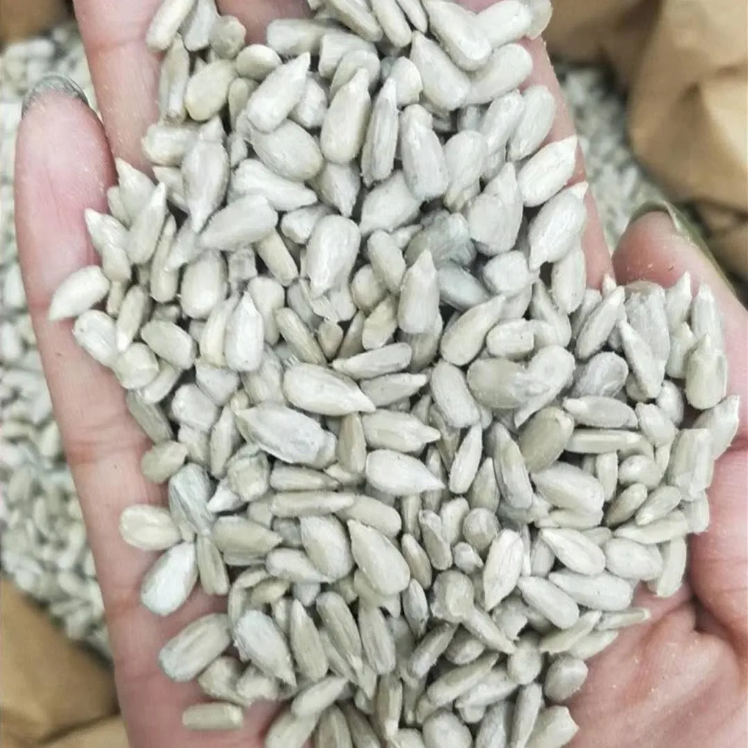 Wholesale price natural new crop sunflower seeds sunflower kernels in bulk from China Inner Mongolia