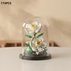 gardenia