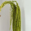 Giallo verde