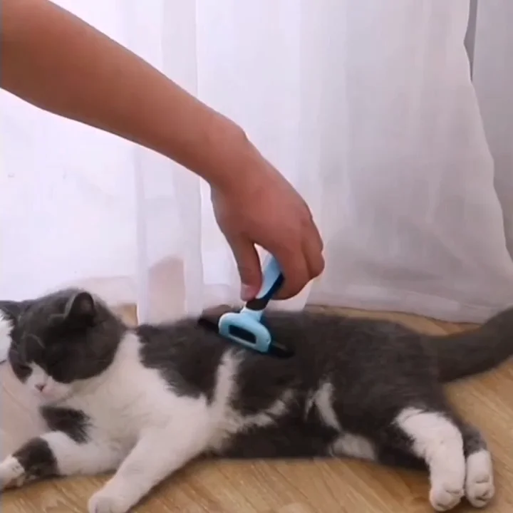 定制标志不锈钢刀片宠物狗猫梳毛脱毛按摩刷 - Buy 猫脱毛刷,狗脱毛刷,自定义徽标不锈钢刀片宠物狗猫美容刷脱毛按摩刷 Product on Alibaba.com