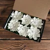 Blanc-6 pièces