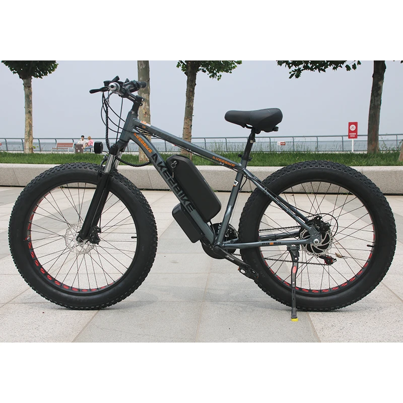electric bicycle reddit Lectric XPress2 Commuter eBike in Tempest Grey Dual front and rear Bianchi BERGAMO size M Color:FROZEN PURPLE exterior-color-silver