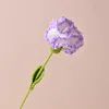 Gradient Purple