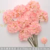 Pink candy hydrangea branch