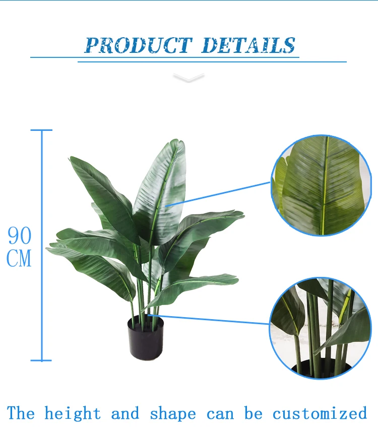 Planta Decorativa De Árbol De Plátano De Strelitzia Para Exteriores,Para  Decoración Del Hogar - Buy Planta Para La Decoración De La Casa De Banana  Árbol Árboles Para Al Aire Libre Banana Product