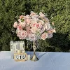 FB789-Rosa
