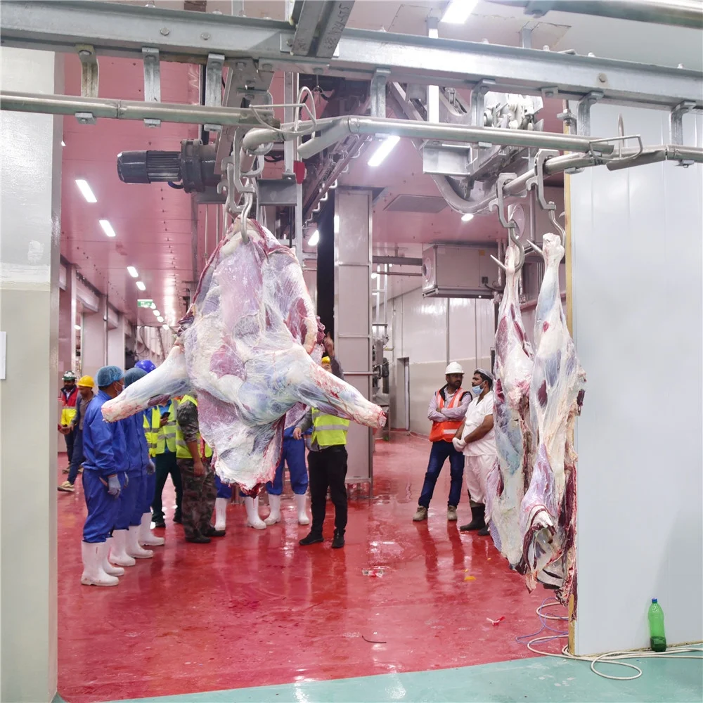 Sheep slaughterhouse 200 heads per hour goat skin machine