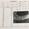 925 Silver Raw Material