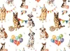 FI-JDDY-BDDOG-SCQQLW-WHITE-5M