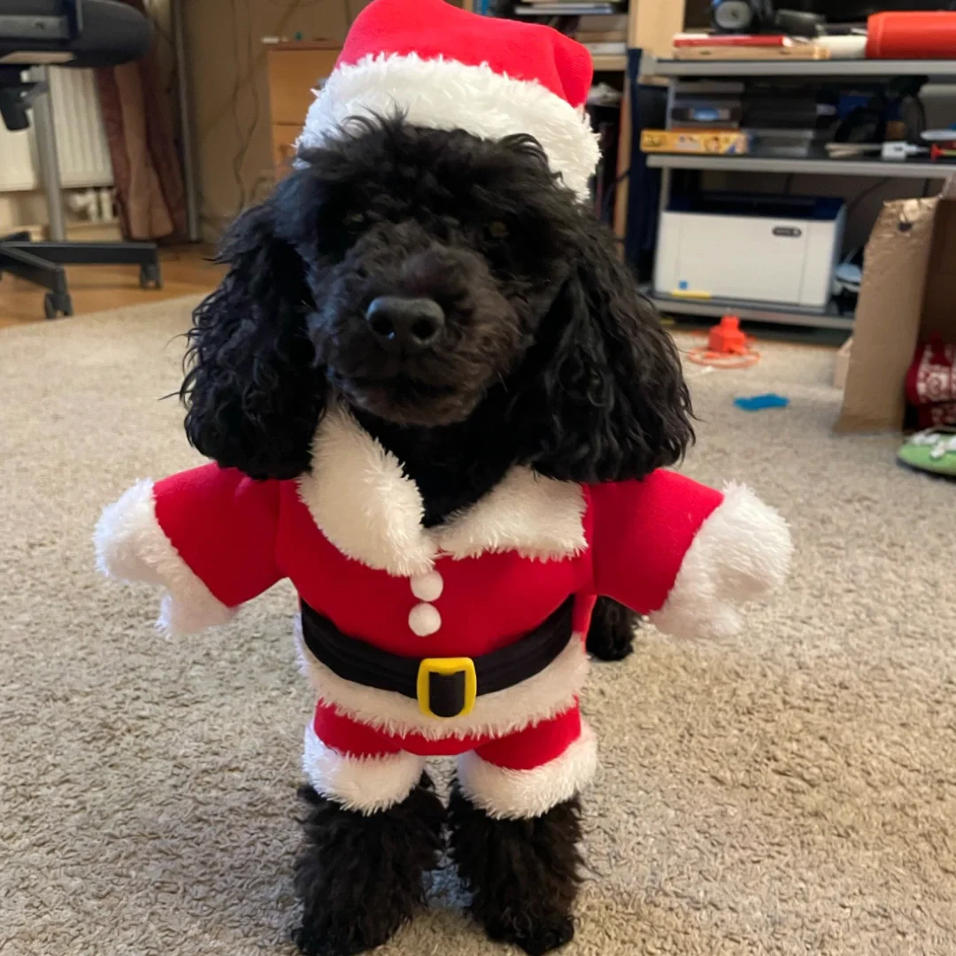 Fashion Xmas Clothes For Pet Funny Threedimensional Designer Dog Coat