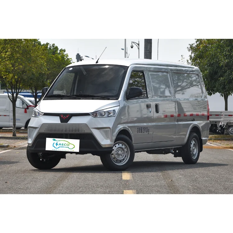 New Design Ct-nev Wuling Ev 50 Pure Electric Mini Van Cargo Trucks New Energy Vehicles Electric Minivan From China
