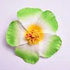 Bordo verde