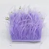 Lavanda