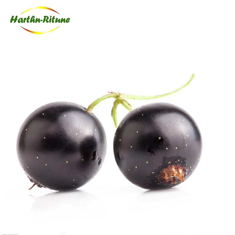 frozen black currant