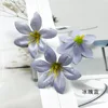 Ice Soul Blue