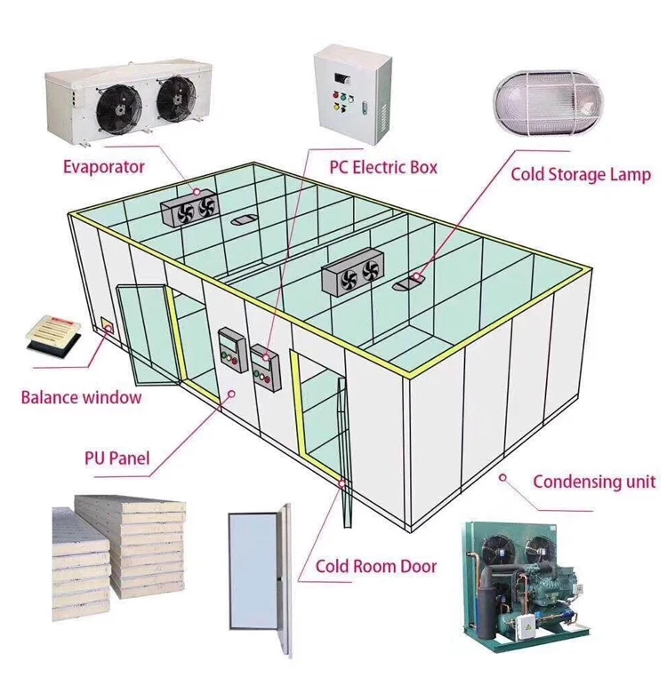 standard cold room sizes