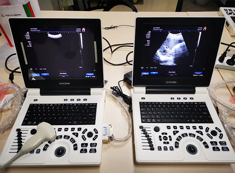 H64ed1e64021749a6bd8bf45142e449974