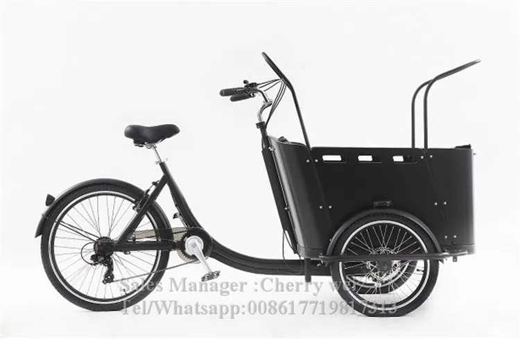 200kg Cargo Bike Efficient Tricycle for Sale in Philippines