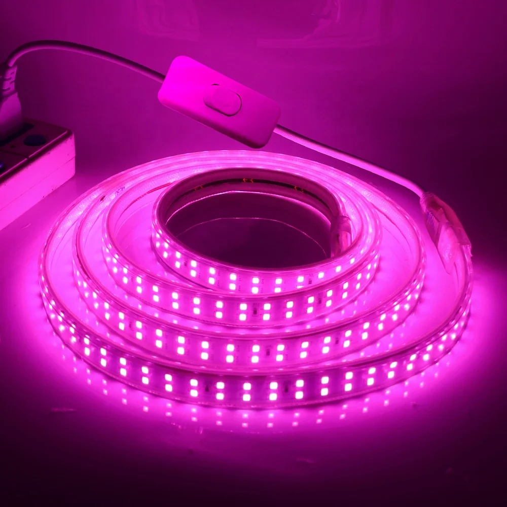 Led Light 5050 Colorful Remote Control Color Changing Rgb Flashing Segment Jumping Water Marquee Light Six-color - Buy Led Strip Light,Led Light Strip 5050 Colorful Remote Control Color Rgb