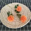 Chrysanthème orange à trois têtes