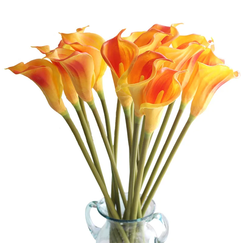 Wholesale Common Callalily Flower Long Stem Calla Lily Bulbs